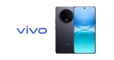 Vivo Has Launched A New Y Series Smartphone